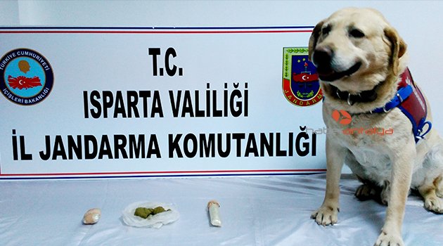Isparta'da yolcu otobüsünde uyuşturucu ele geçirildi