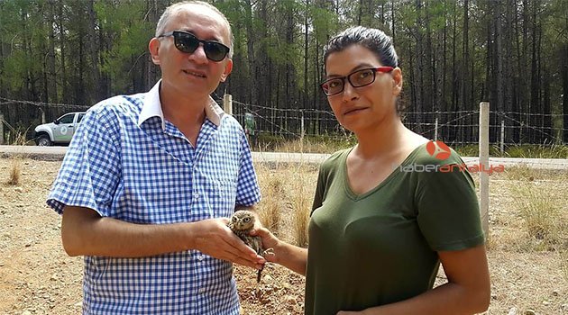 İyileşen baykuş yavrusu doğaya bırakıldı