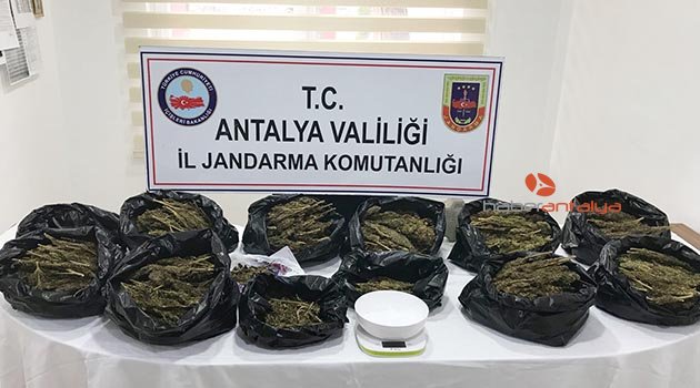 Jandarmadan uyuşturucu operasyonu