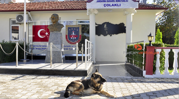 Jandarmanın sevgisi 'Zeyna'yı hayata bağladı