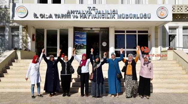 Kadın çiftçiler yarışıyor