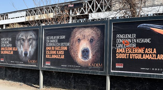 'Kadına Yönelik Şiddete' farklı tepki