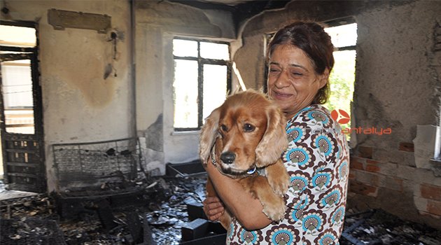 KAHRAMAN KÖPEK ‘PAŞA’ 4 KİŞİLİK AİLEYİ ÖLÜMDEN KURTARDI
