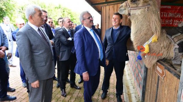 'Karaloğlu' adı verilen deveye özel havut