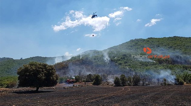 Kaş’ta orman yangını