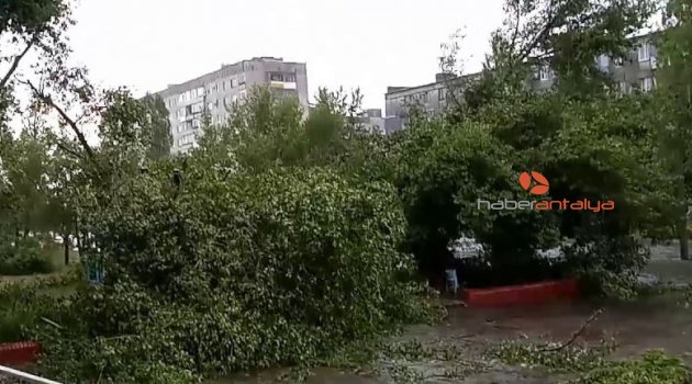 Kasırga, ağaçları köklerinden söktü!
