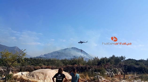 Kaş'ta makilik ve zeytinlikte yangın