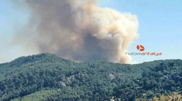 Kaş'ta orman yangını