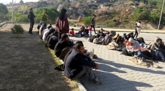 Kayalıklara saklanmış 46 kaçak yakalandı