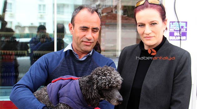 Kayıp köpeğin sahibini bulmak için sokak sokak dolaştı
