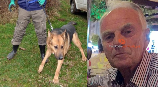 KAYIP NORVEÇLİYİ 'KADAVRA KÖPEKLERİ' ARIYOR