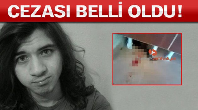 KEDİ KATİLİNE ÜÇ YIL HAPİS