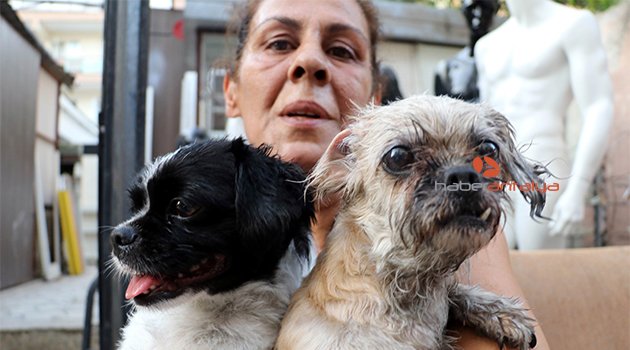 Kedi, köpek ve papağanlar yanmaktan son anda kurtarıldı