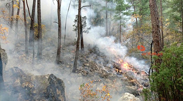 KEMER'DE DAĞLIK ALANDA YANGIN