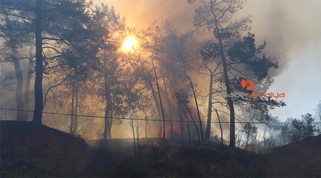 KEMER'DE ORMAN YANGINI SÜRÜYOR