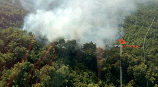 Kemer'de orman yangını