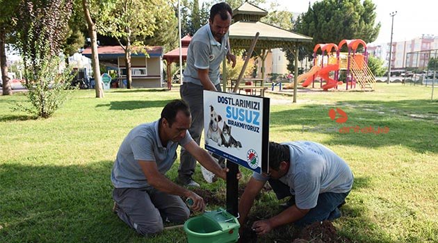 Kepez Belediyesi'nden sokak hayvanlarına ek suluk