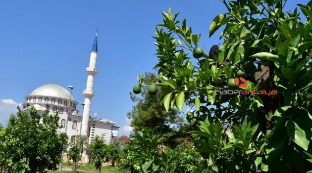 Kepez’e Anadolu Bahçesi
