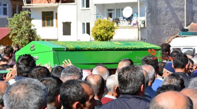 Kestiği ağacın altında kalıp öldü
