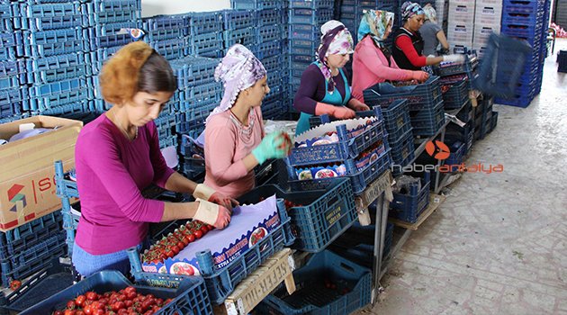 KOMİSYONCU VE ÜRETİCİ UMUTLANDI