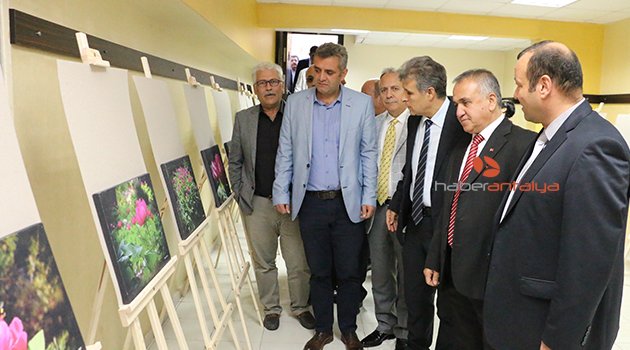 KONDER’DEN ŞAKAYIK SERGİSİ