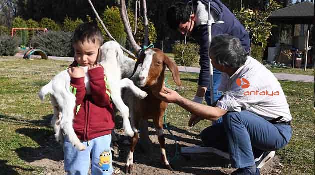 KONYAALTI BARINAĞI&#039;NDA &#039;MUTLU&#039; SON
