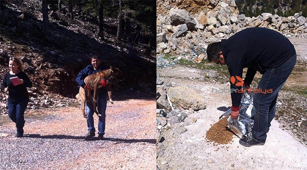 KONYAALTI BELEDİYESİ’NDEN ÖLMEK ÜZERE OLAN KÖPEKLERE YARDIM ELİ