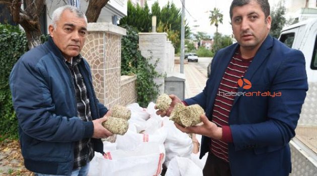 Konyaaltı Belediyesi'nden çevre dostu yakıt