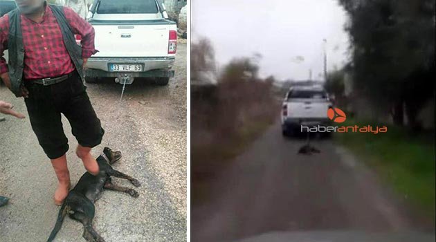 Köpeği aracın arkasına bağlayıp sürükledi!