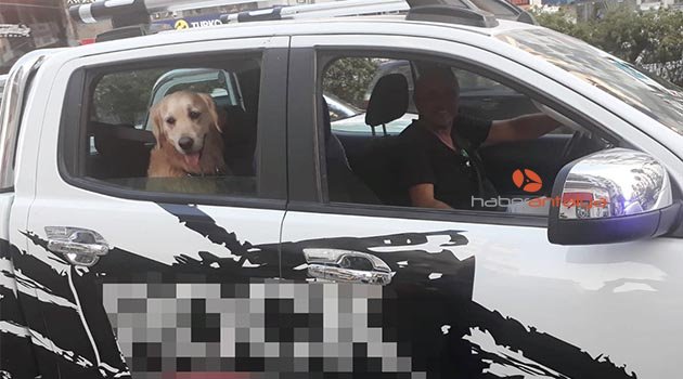 Köpeğine emniyet kemeri takan sürücüye polisten teşekkür
