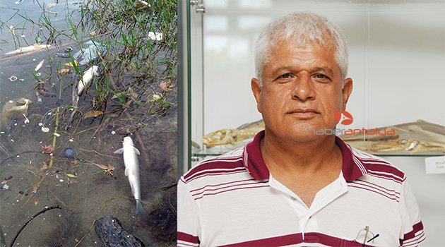 KÖPRÜÇAY'DAKİ BALIKLARIN ÖLÜM NEDENİ…