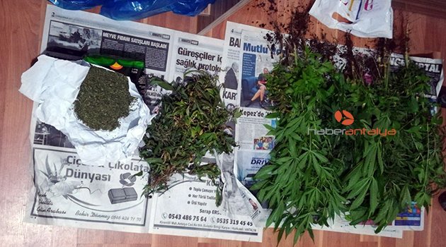 Korkuteli’nde uyuşturucu operasyonu