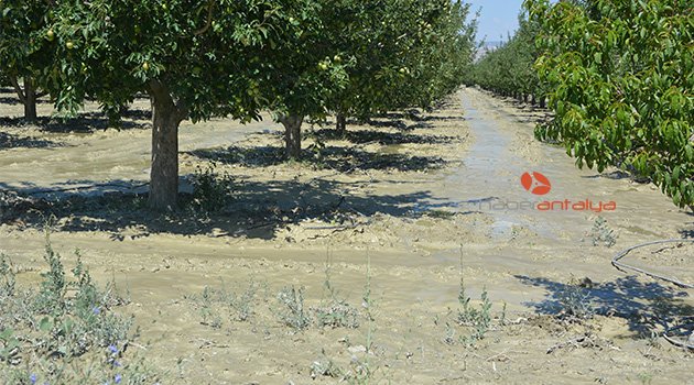 Korkuteli’nde yaz yağmuru sele döndü