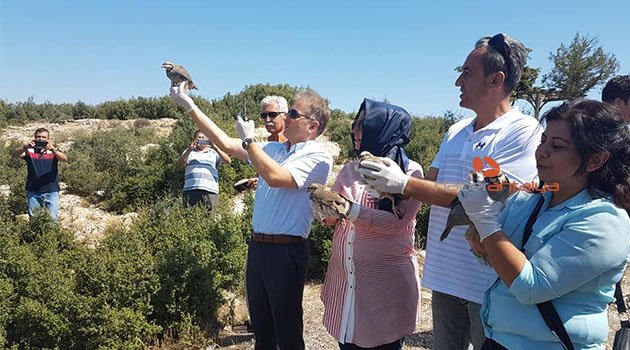 Korkuteli ormanlarına 50 tane kınalı keklik bırakıldı