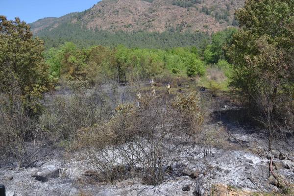 Köyceğiz'de Yürekleri Ağza Getiren Orman Yangını (2)- Yeniden