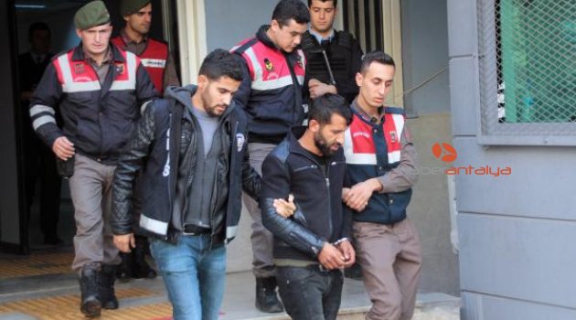 Küçükbaş hayvan hırsızları yakalandı