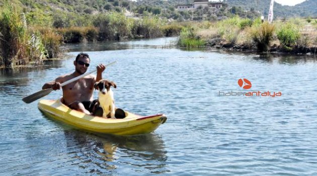 Kükürtlü ve sodalı suya girip hem şifa arıyor hem de serinliyorlar