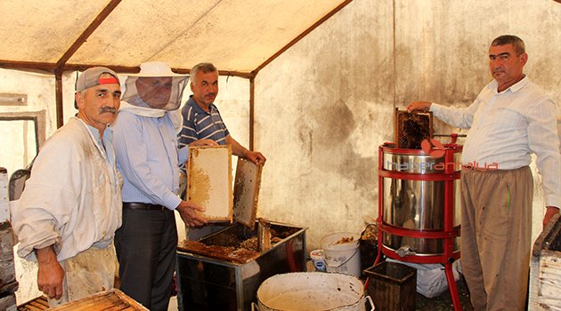 KUMLUCA'DA 160 TON BAL ÜRETİMİ BEKLENİYOR