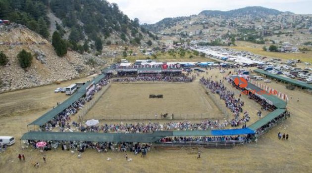 Kumluca'da boğa güreşleri yapıldı