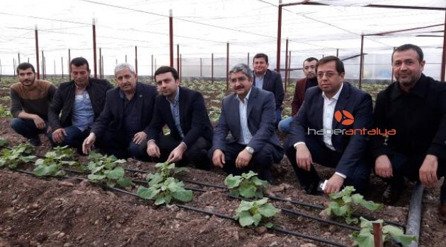 Kumluca'da seralar yeniden kuruldu