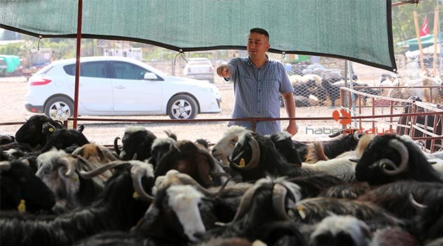 Kurbanlık fiyatı cep yakıyor!