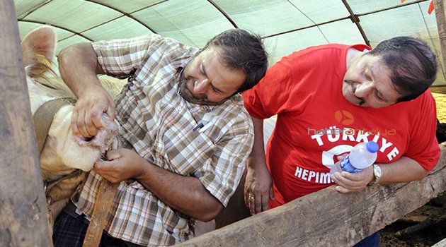 KURBANLIKLAR TÜKENMEK ÜZERE
