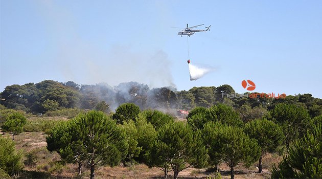 LARA'DA ORMAN YANGINI