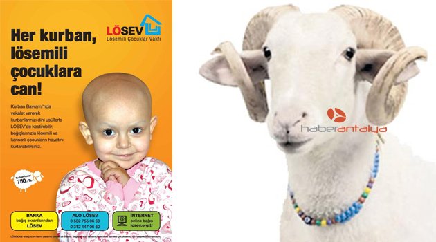LÖSEV'DEN 'KURBAN BAĞIŞI' ÇAĞRISI