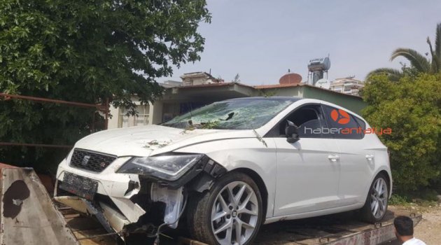 Lüks otomobil domates serasına daldı