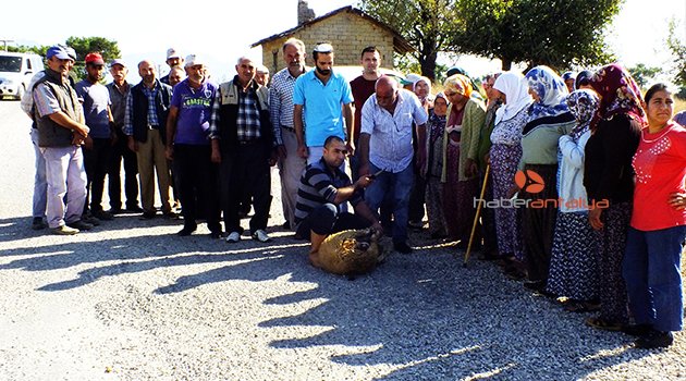 KAZA OLMASIN DİYE KURBAN KESTİLER