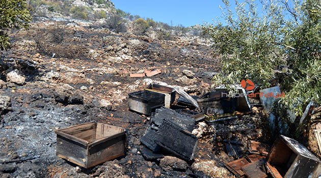 Makilik alandaki yangında arı kovanları yandı