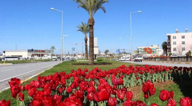 Manavgat çiçek açtı