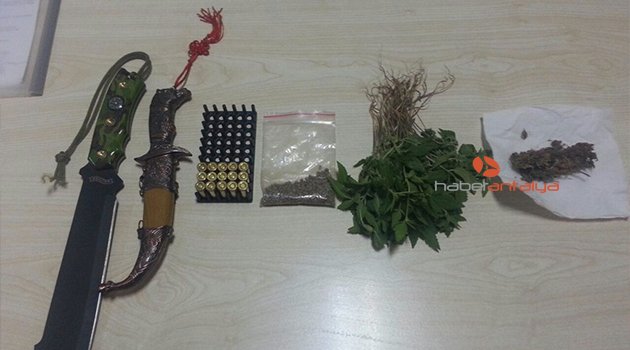 MANAVGAT’TA 150 KÖK HİNT KENEVİRİ ELE GEÇİRİLDİ