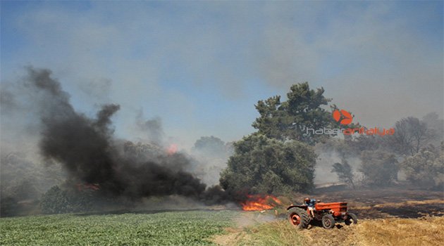 Manavgat’ta kopan yüksek gerilim hattı yangın çıkardı